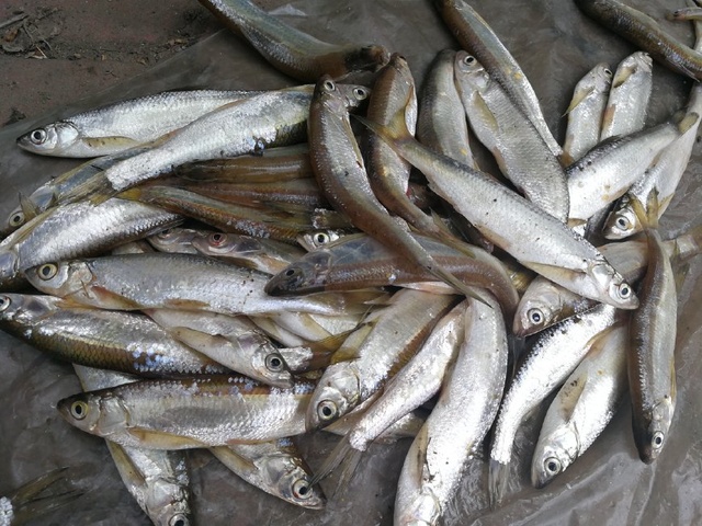 JDB电子游戏官网