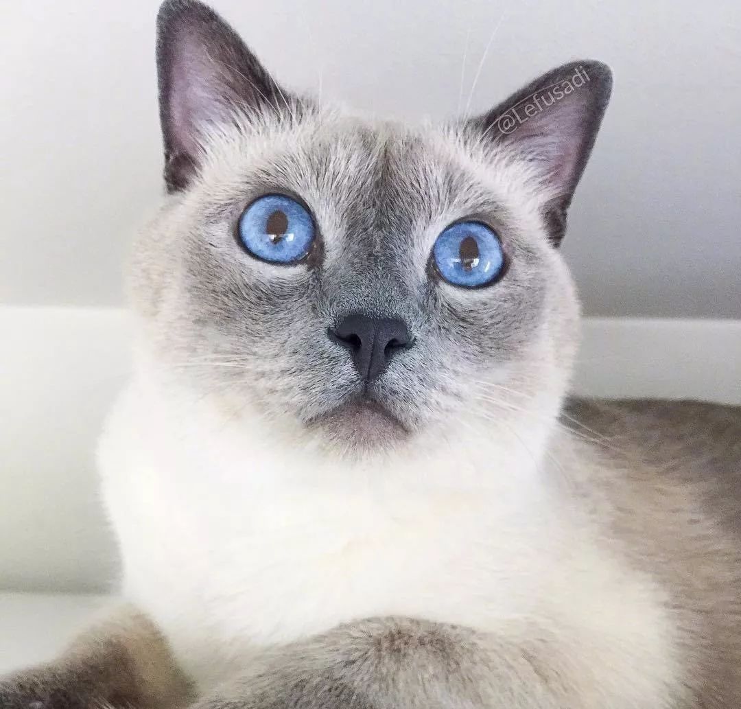 JDB电子试玩网页版