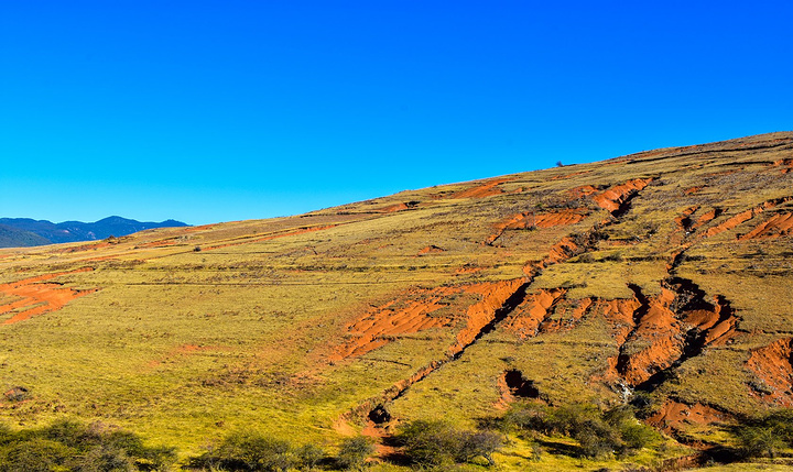 JDB电子游戏官网