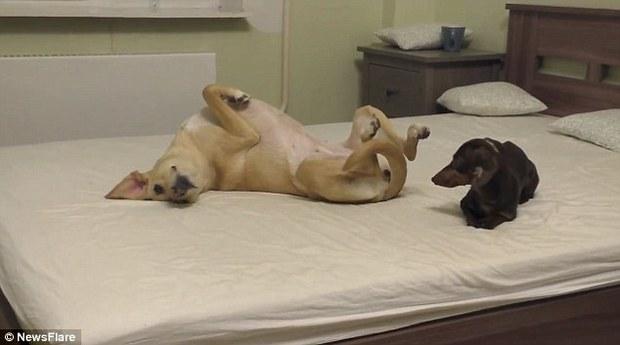 JDB电子试玩网页版