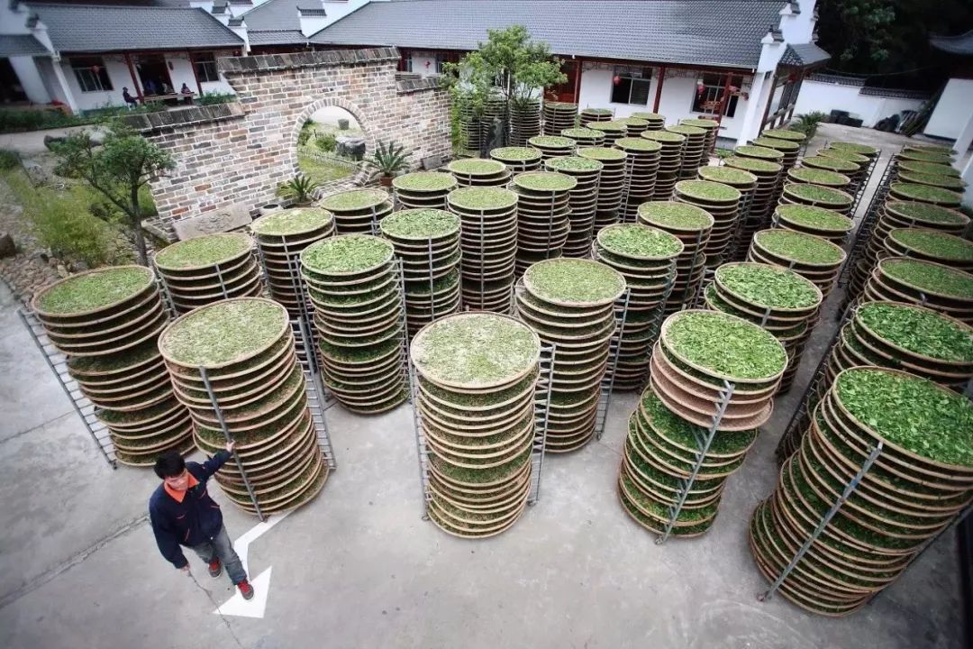 JDB电子试玩网页版