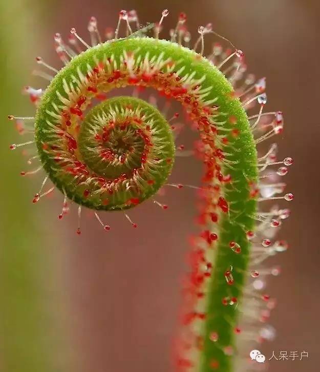 JDB电子游戏官网