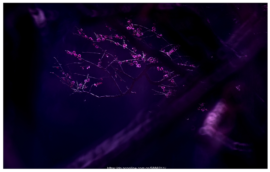 JDB电子游戏官网