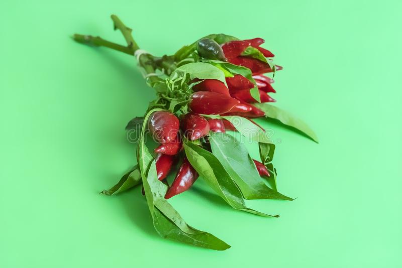 JDB电子试玩网页版