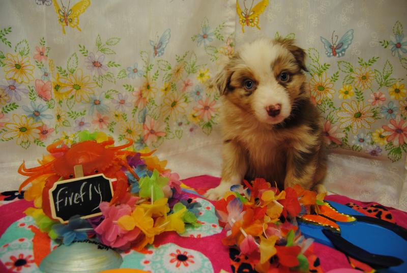 斯科尔斯:若图雷阿圭罗发扬出色 曼城能赢巴萨【JDB电子】(图3) JDB电子