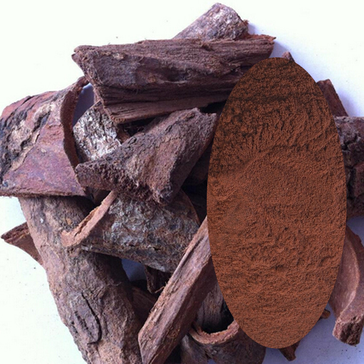 JDB电子_博格巴期待小布莱恩战胜癌症:将首次代表尤文U15出战(图4) JDB电子游戏官网