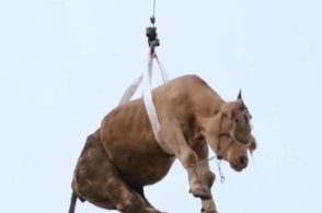 JDB电子试玩网页版