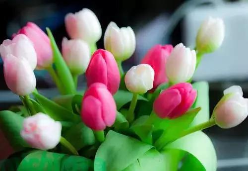 RL体育|英超18-19赛季对战时间表Big6六强8-10月【JDB电子试玩网页版】(图2) JDB电子