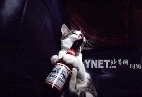 黄石计划3年内打造铜产品千亿级大产业【JDB电子试玩网页版】(图1) JDB电子