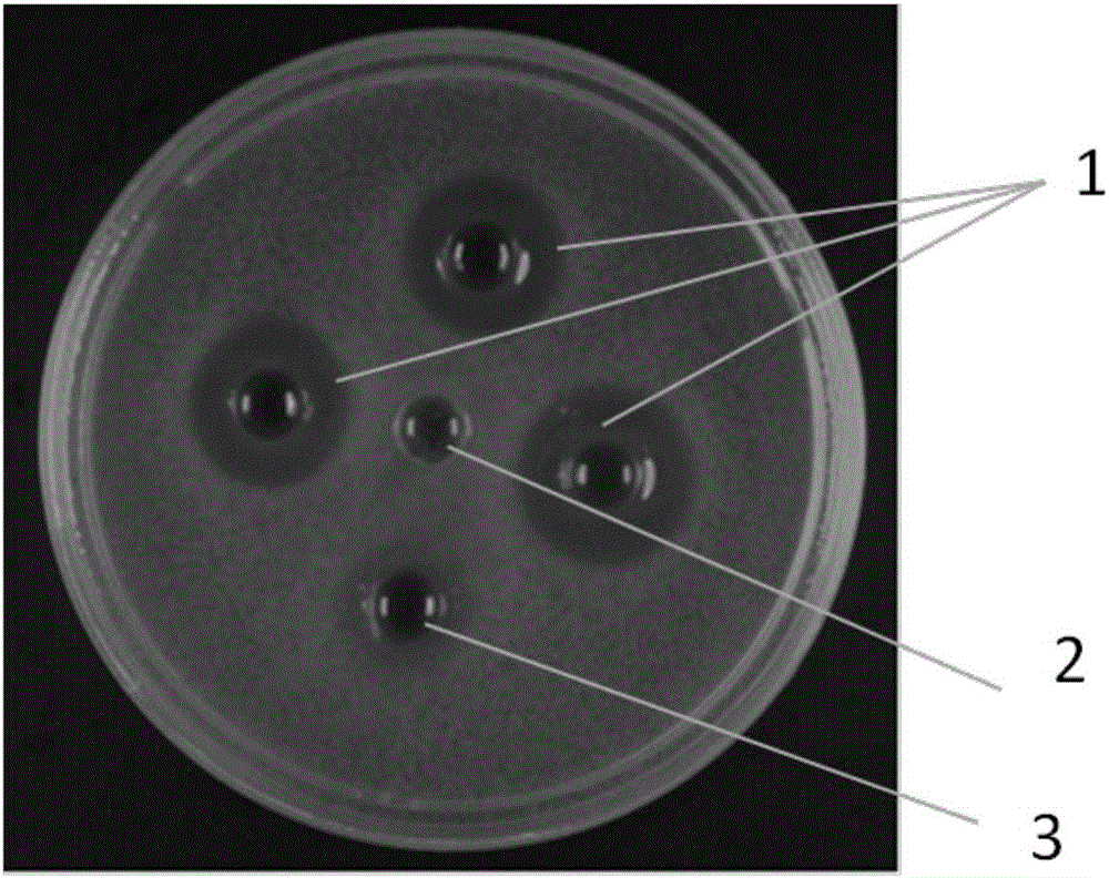 摩纳哥主帅:绝杀战平地方陆军仿佛一场成功|JDB电子(图4) JDB电子