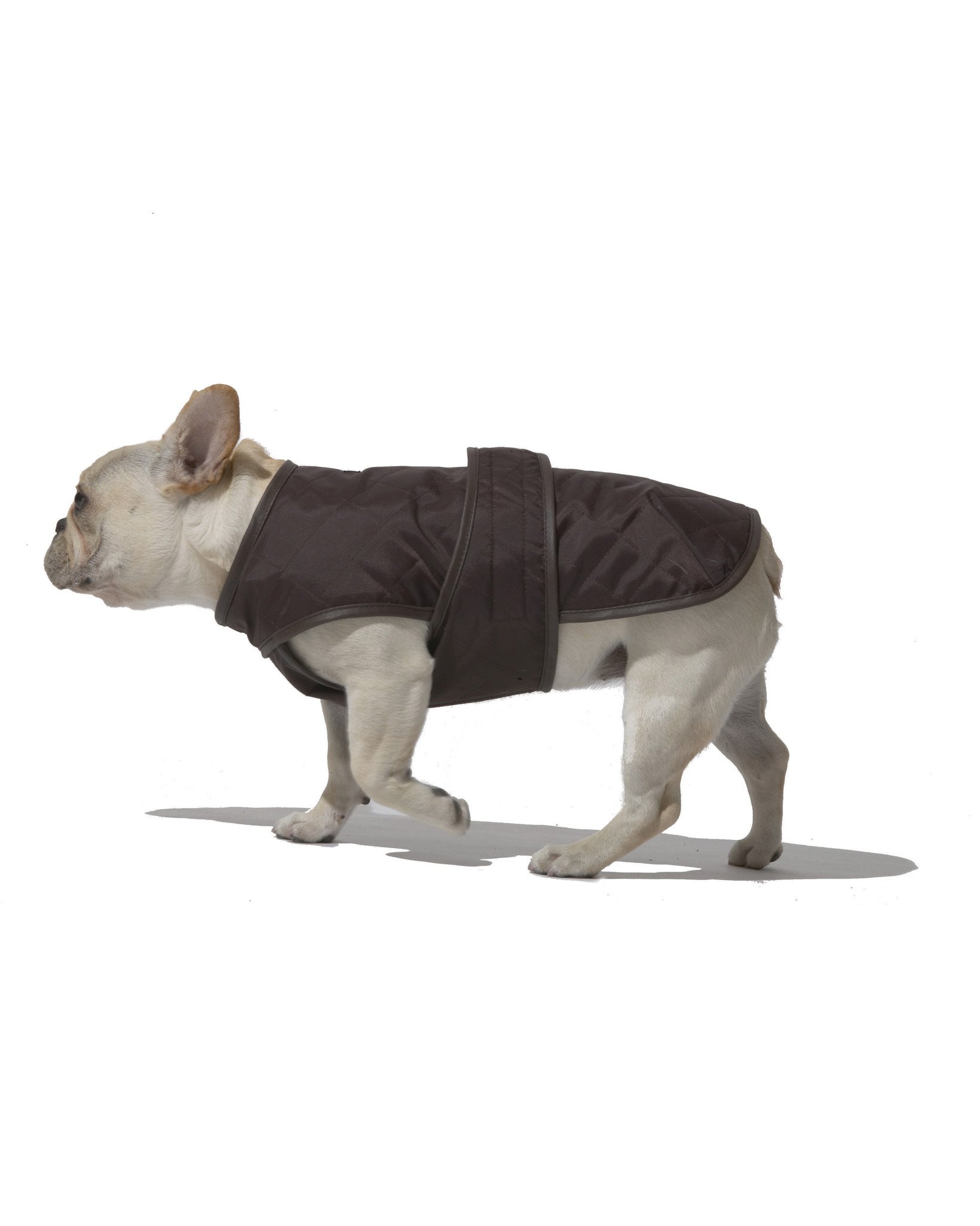 JDB电子游戏官网