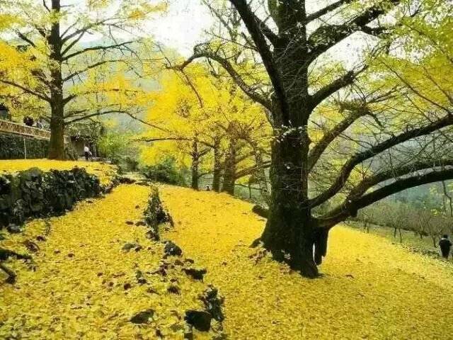 飘了?切尔西近5轮狂输4场 兰帕德:不想带这样的队_JDB电子游戏官网(图1) JDB电子游戏官网