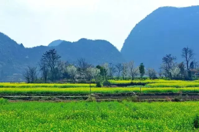 哈姆西克:打破进球纪录后,马拉多纳送我礼物了“JDB电子”(图1) JDB电子