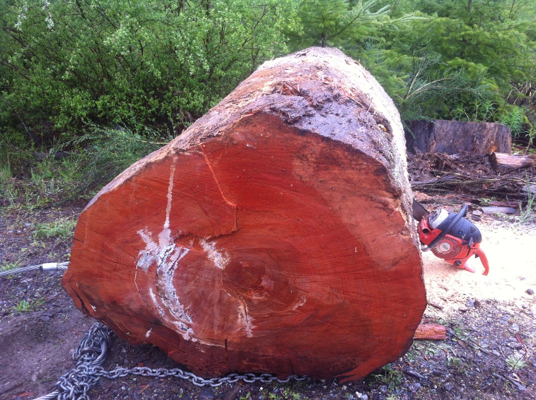 JDB电子游戏官网