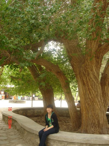 JDB电子试玩网页版