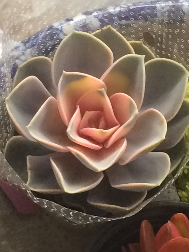 JDB电子游戏官网