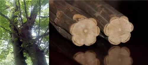 JDB电子游戏官网