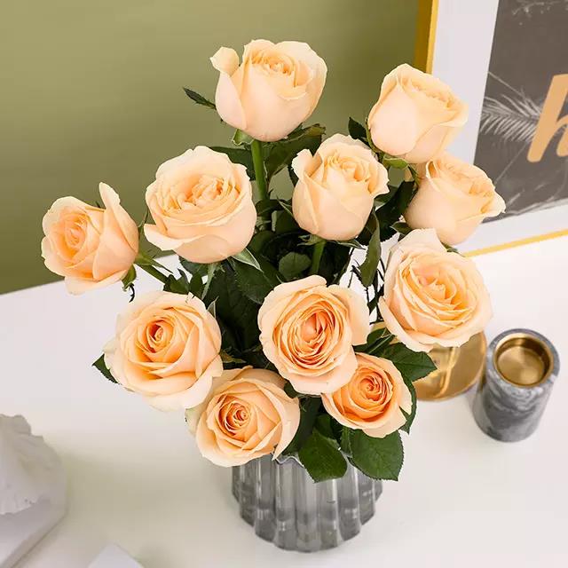 黑龙江:黑龙江肇东市:工厂化种植食用菌【JDB电子试玩网页版】(图2) JDB电子