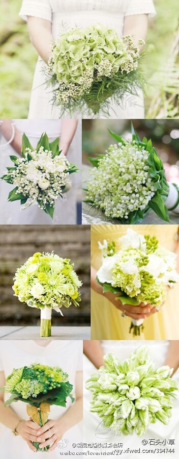 吉林桂家村的辣椒红了|JDB电子游戏官网(图2) JDB电子游戏官网