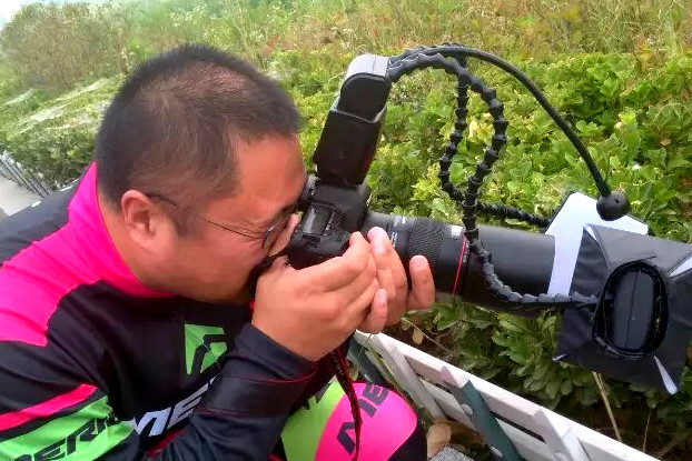 吉林桂家村的辣椒红了|JDB电子游戏官网(图1) JDB电子试玩网页版