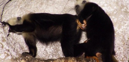 山煤国际能源集团股份有限公司涉及诉讼进展公告:JDB电子(图1) JDB电子试玩网页版