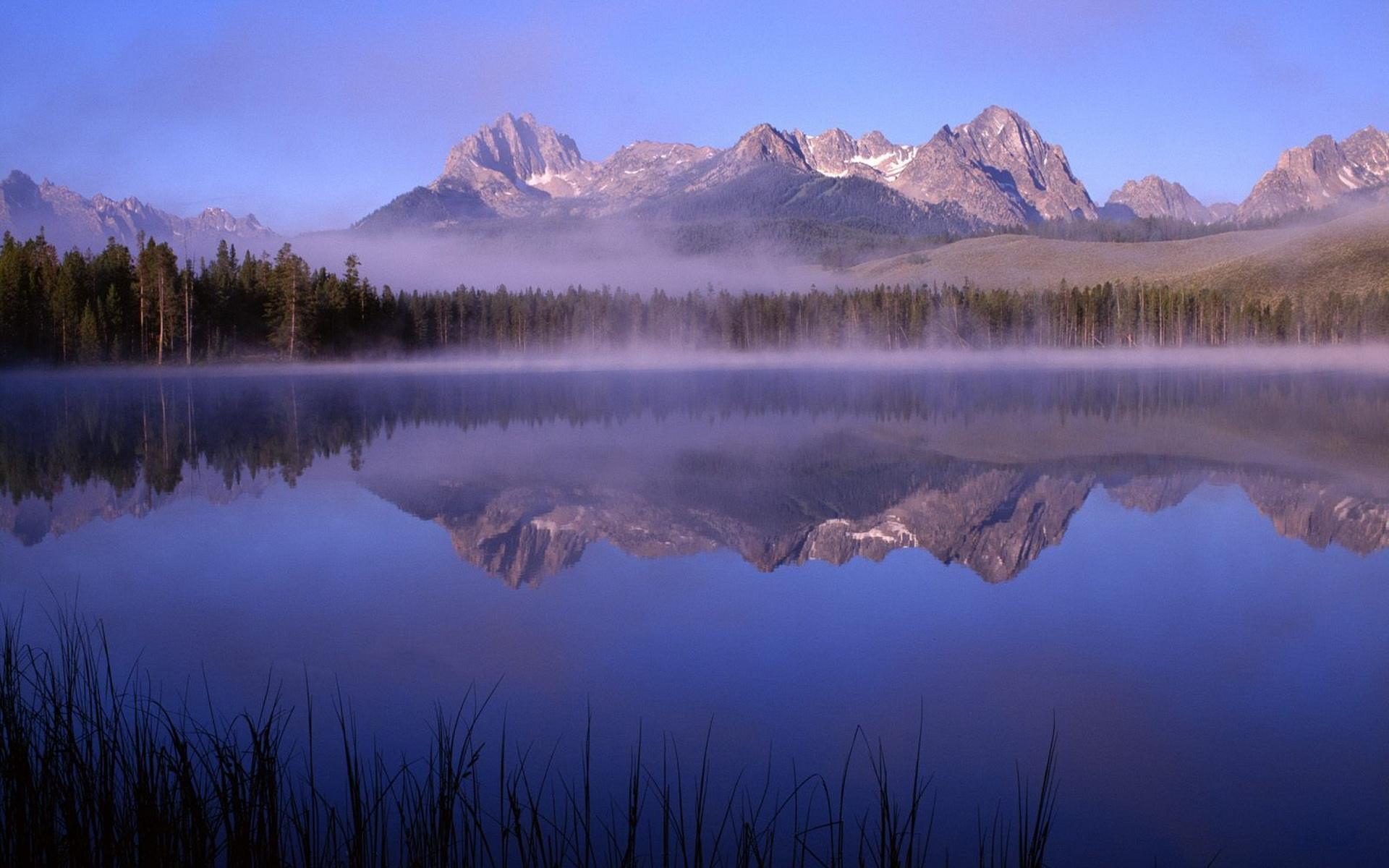 阿拉伯公共投资基金:无意为特斯拉私有化供资“JDB电子”(图3) JDB电子