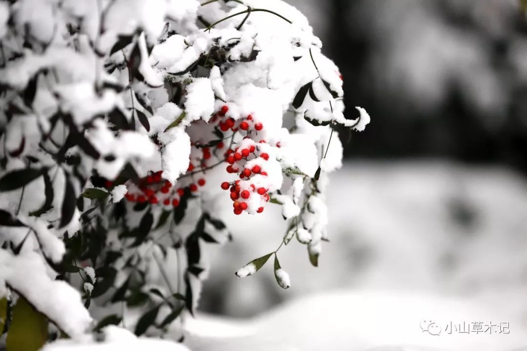 阿拉伯公共投资基金:无意为特斯拉私有化供资“JDB电子”(图4) JDB电子试玩网页版