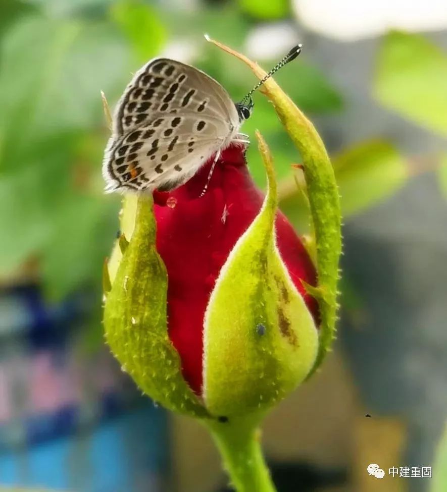 JDB电子游戏官网