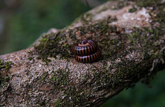 JDB电子试玩网页版