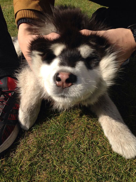 JDB电子游戏官网