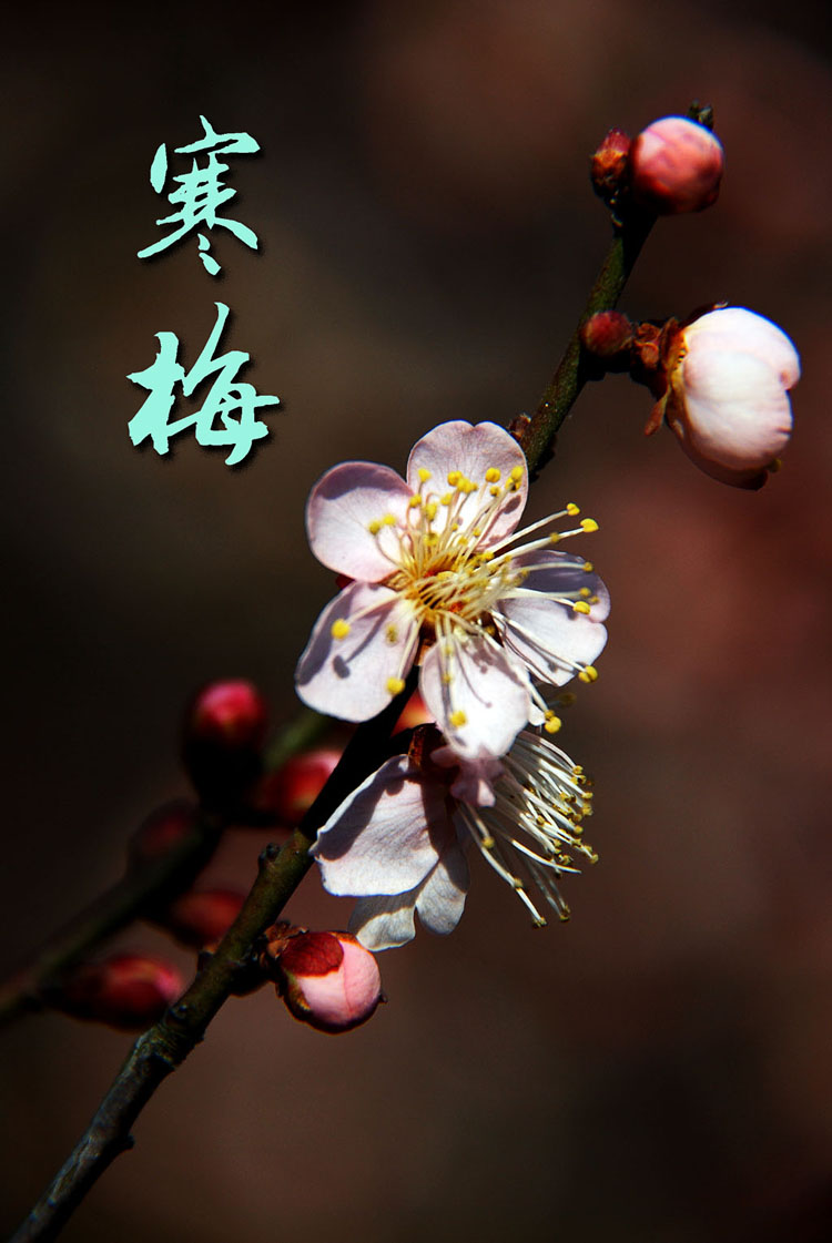 安阳:焦化整合新上项目全部达到超低排放水平_政策法规_新闻_矿道网“JDB电子游戏官网”(图1) JDB电子试玩网页版